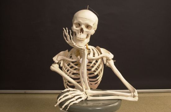 Picture of Anatomy Lab Tour - Pay Invoice